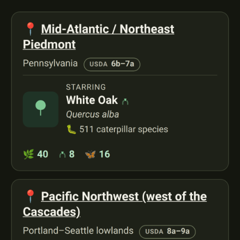 The Explore page: one card per region, each with a starring native