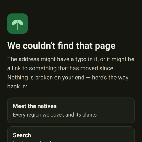 The new “We couldn't find that page” page, on a phone