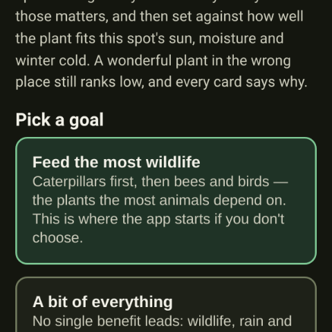 The new Goals step: pick what the spot should do