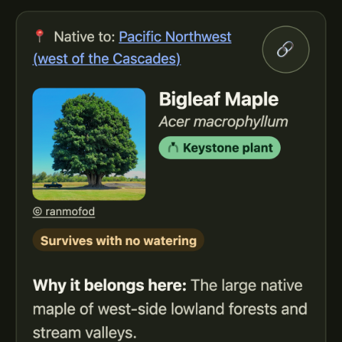 A plant's page opening with a photograph of the species instead of a drawing