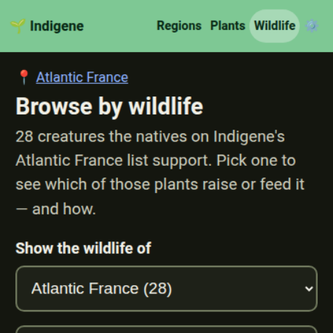 Browse by wildlife: 28 creatures the Atlantic France plants support