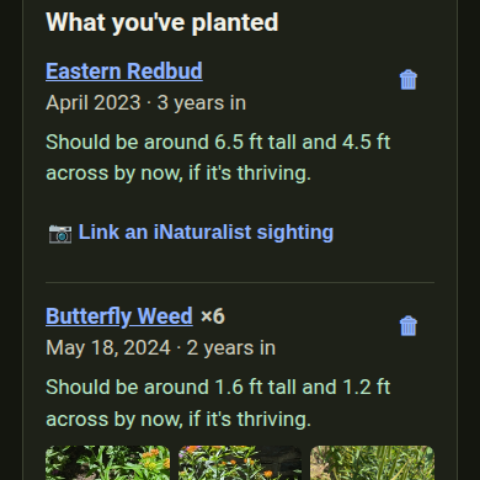 A spot's planting log: eastern redbud three years in, butterfly weed two, each with the size it should be by now