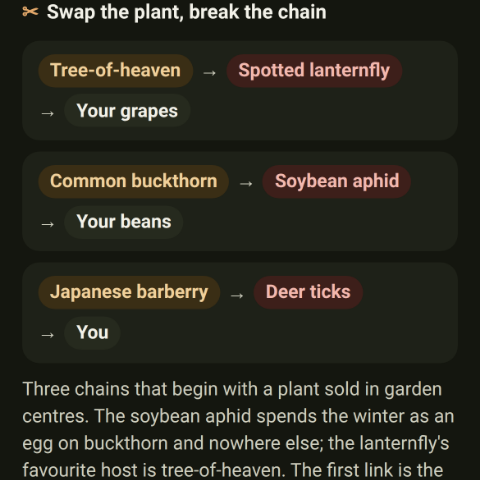 Three pest chains, each starting at a plant sold in garden centres