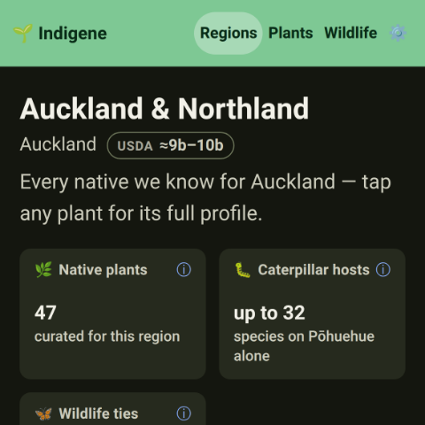 The Auckland & Northland region page