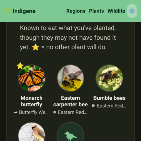 A saved spot and the wildlife it can feed