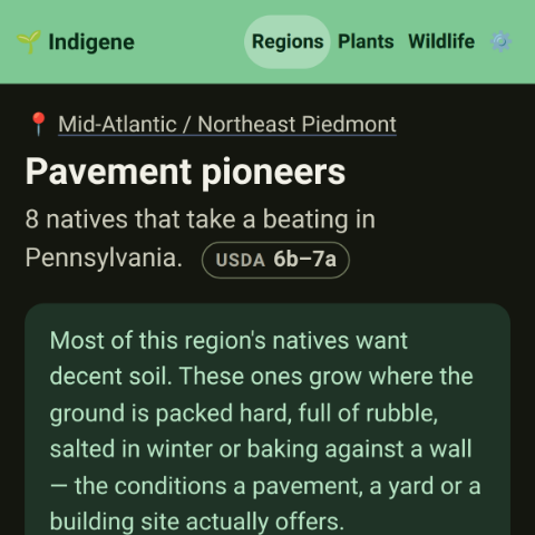 A region's pavement pioneers