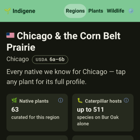 Chicago & the Corn Belt Prairie on the regions map