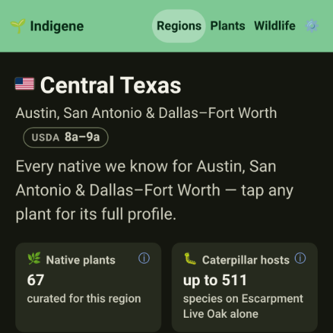 Central Texas on the regions map