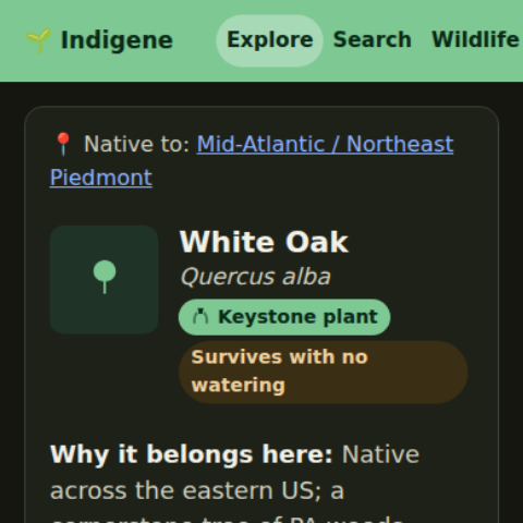 A plant page, ready to show real photos taken nearby