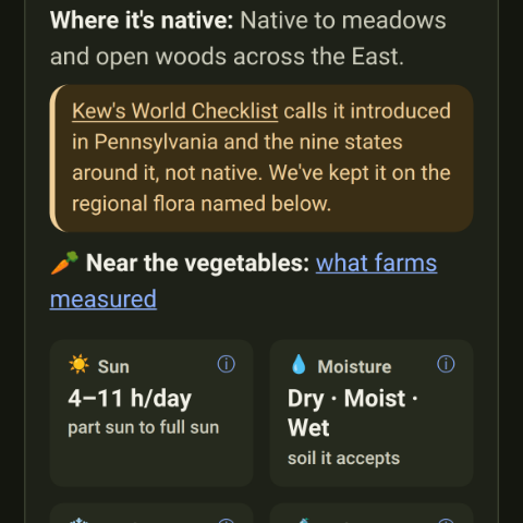 A plant page where Kew's checklist disagrees
